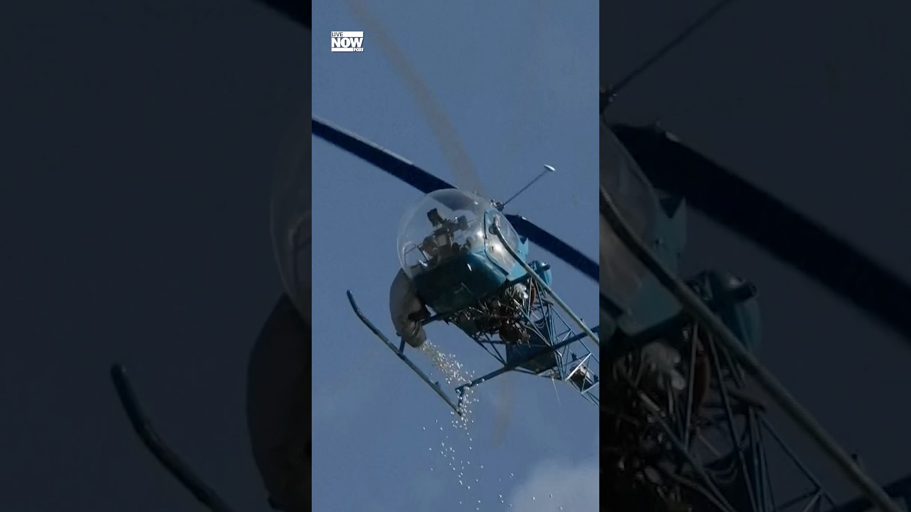 Watch: 2026 Great Marshmallow Drop in Michigan