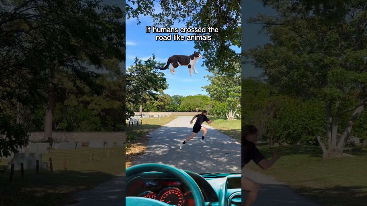 Why Don’t We Cross like Animals?