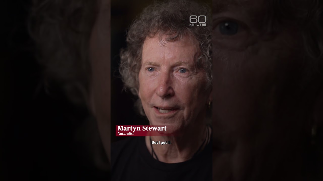 Why Martyn Stewart is sharing his life’s work #shorts