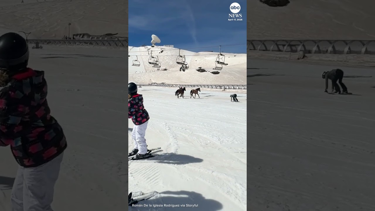 Wild horses charge across ski resort in Spain