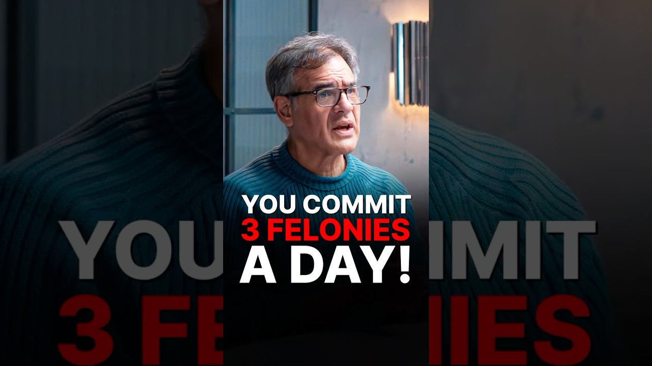 YOU COMMIT 3 FELONIES A DAY?!