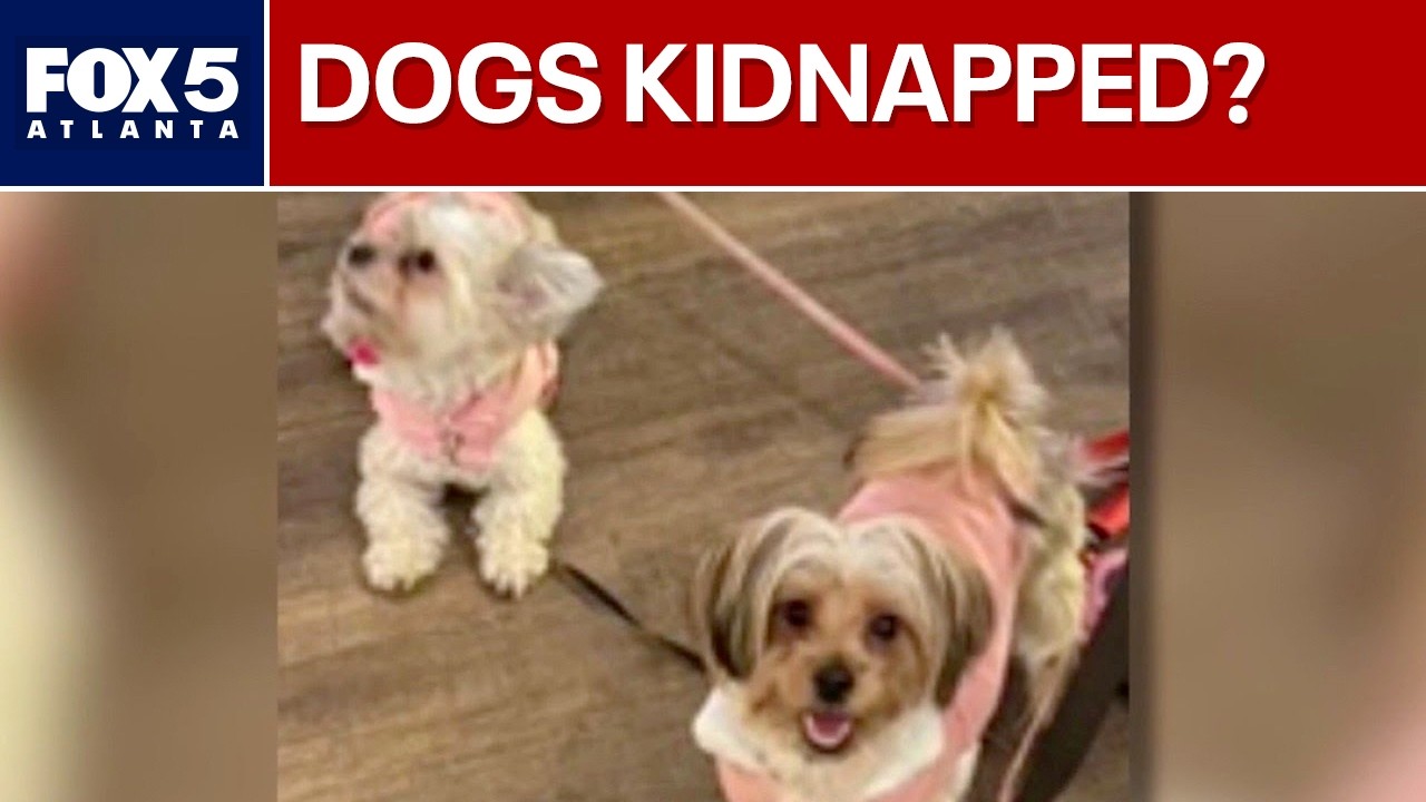 ‘You hold my dog hostage’: Family’s plea for return | FOX 5 News
