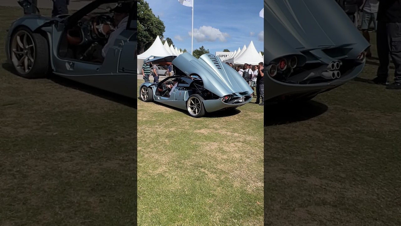 $10 Million 1 of 5 Pagani 😏