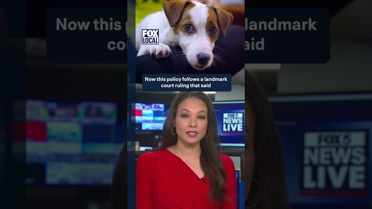Are fur babies considered family? Lawmakers seem to think so | FOX 5 News
