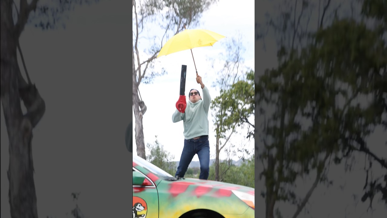 Can you fly with a leaf blower?