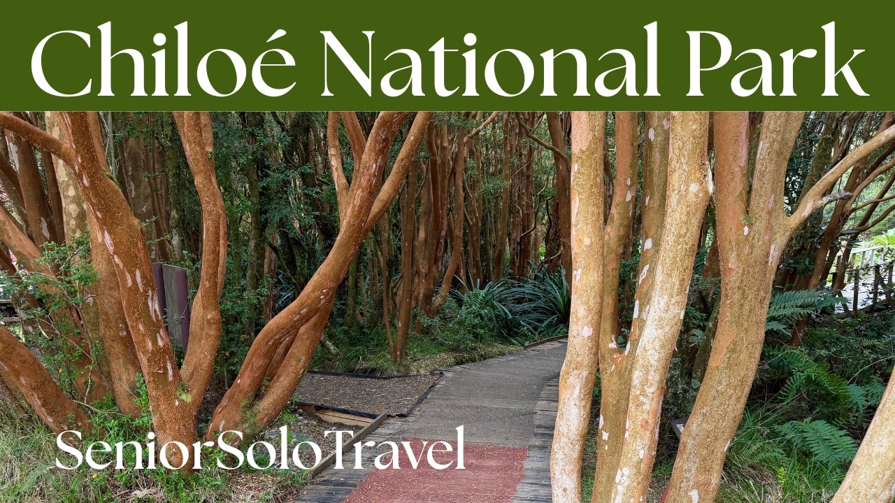 Chiloé National Park Day Trip from Castro, Chile