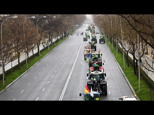 Contentious EU-Mercosur trade deal takes provisional effect