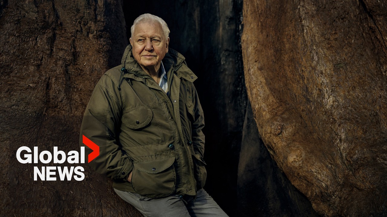 David Attenborough turns 100: A look at the extraordinary life of adventure