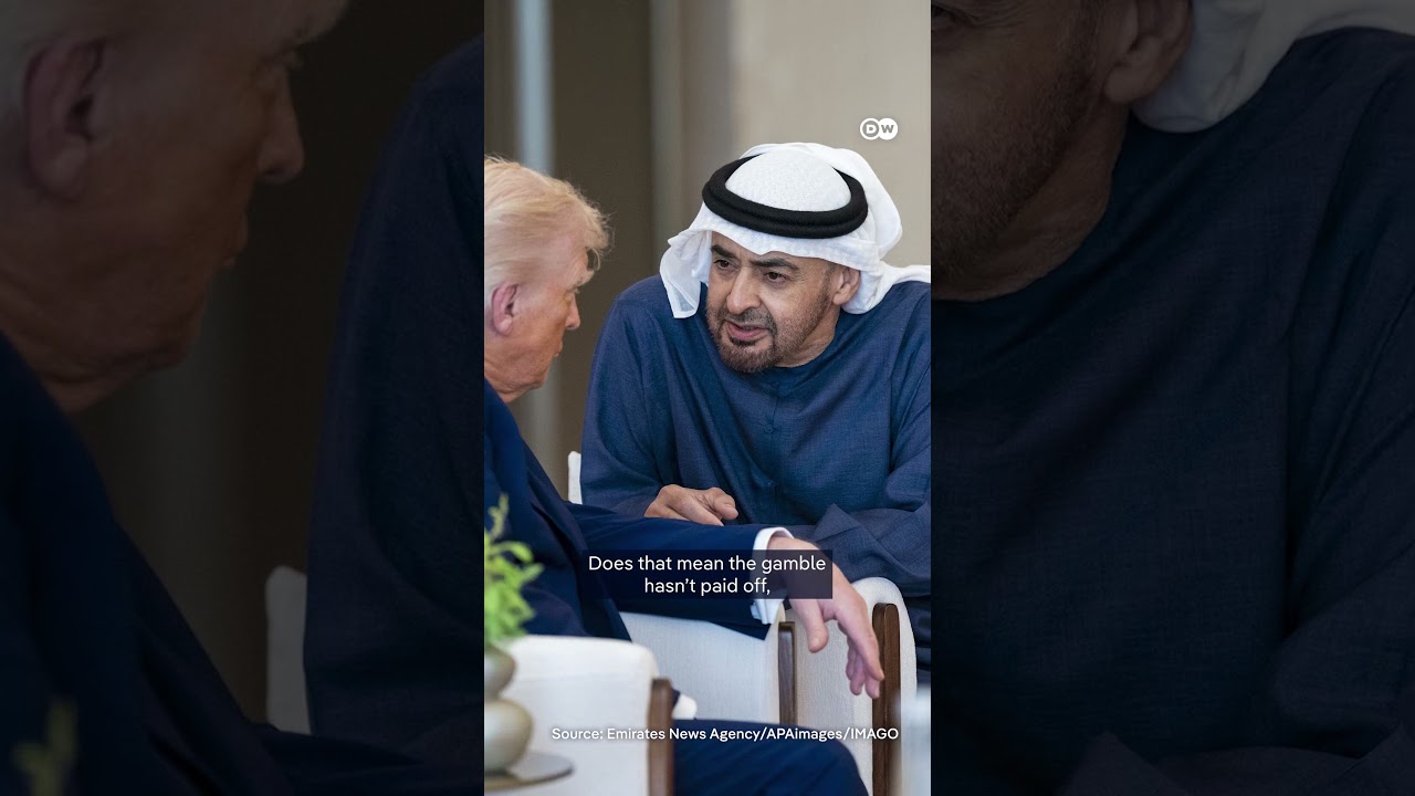 Did the UAE choose the wrong partners? The UAE’s risky alliances | DW News