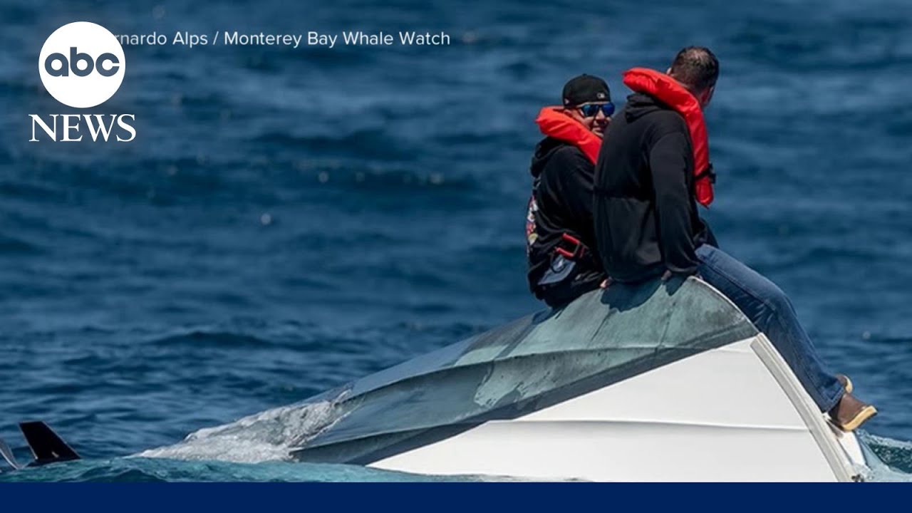 Dramatic ocean rescue off the California coast