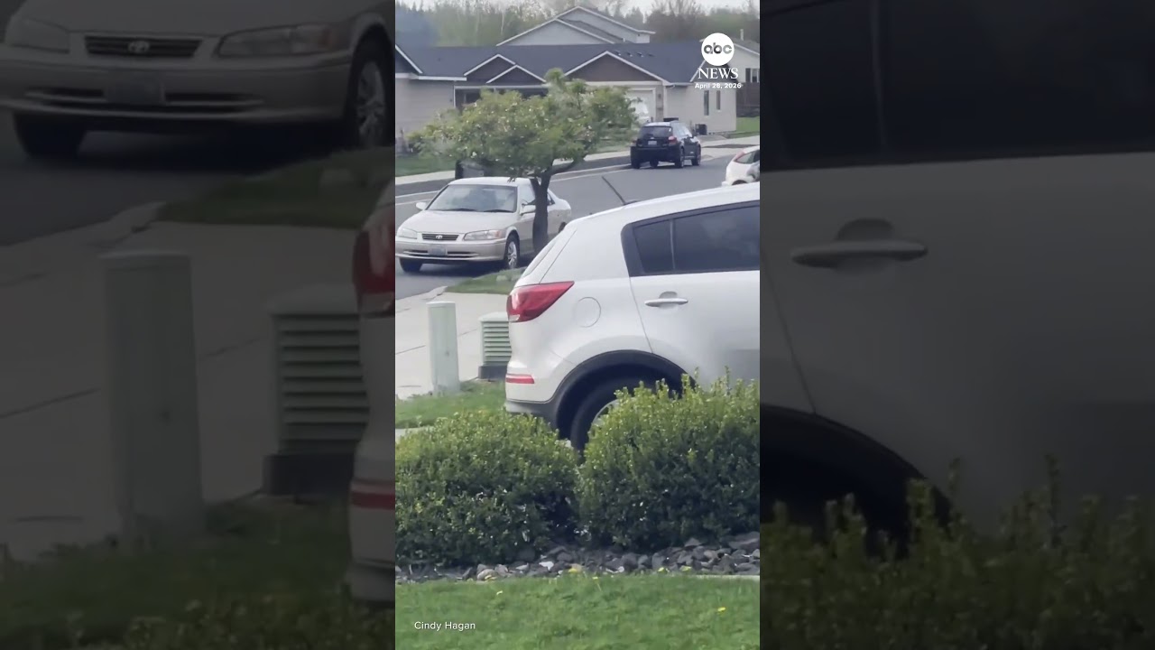 Driver accused of trying to run over child on bike