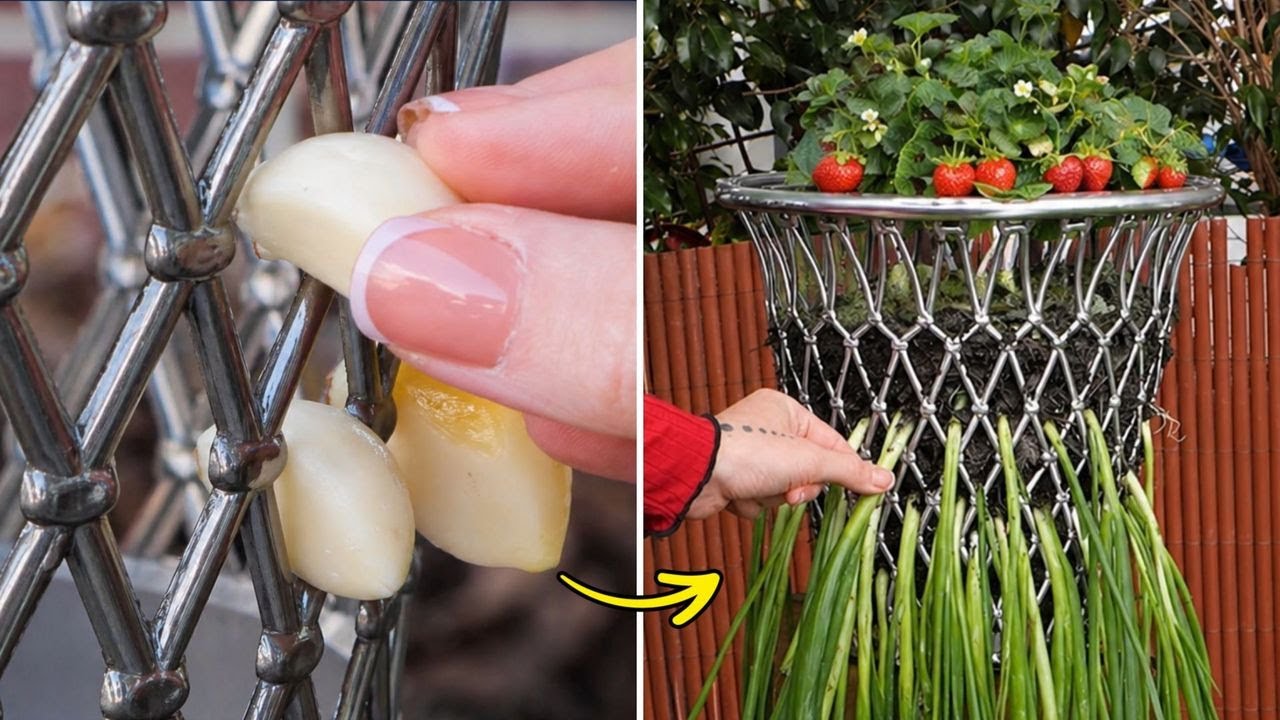 Grow & Glow Your Garden with Our Smart, Easy Hacks 🪴