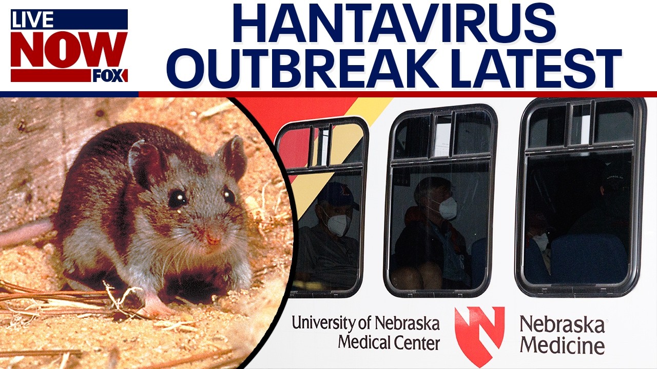 Hantavirus latest: What you need to know after cruise ship outbreak