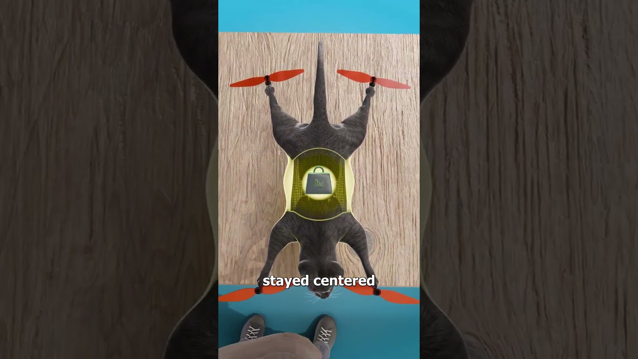He Turned His Cat Into A Flying Drone 🤨