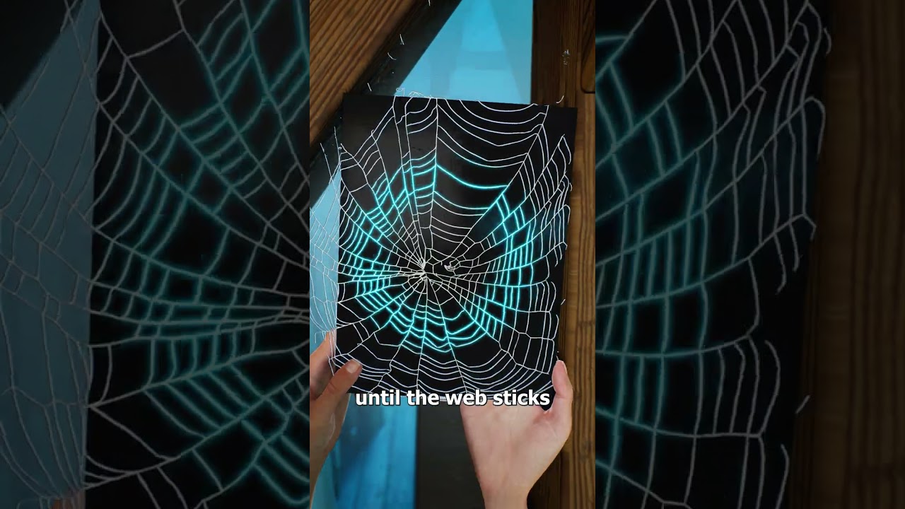 How To Preserve A Spider Web 😮