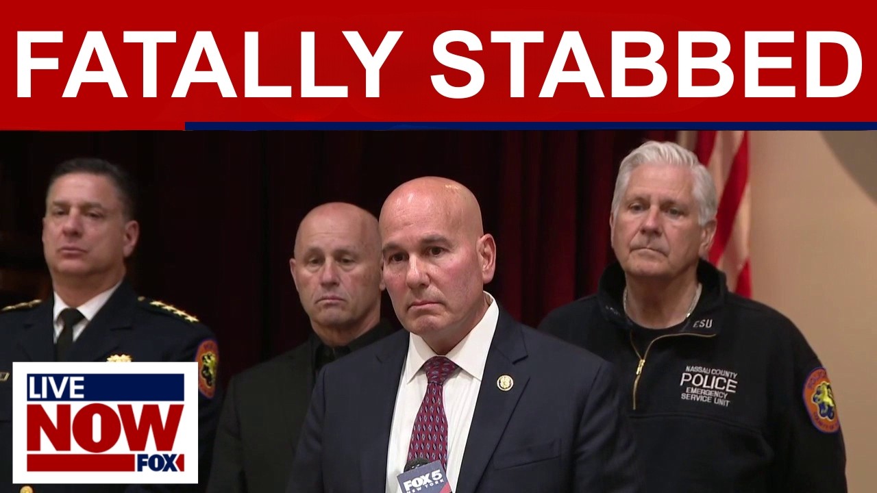 Illegal immigrant fatally stabbed 2 women in New York, police say
