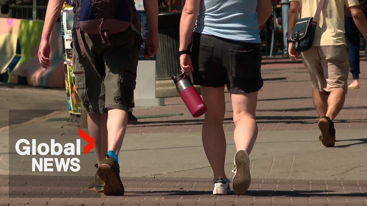 “It’s confusing”: Around half of Albertans don’t understand separation question according to survey