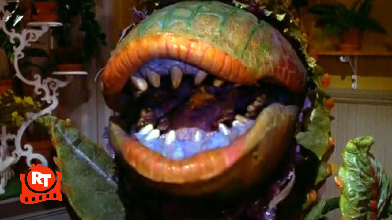 Little Shop of Horrors (1986) – Feed Me (Git It) Song (6/8) | Movieclips
