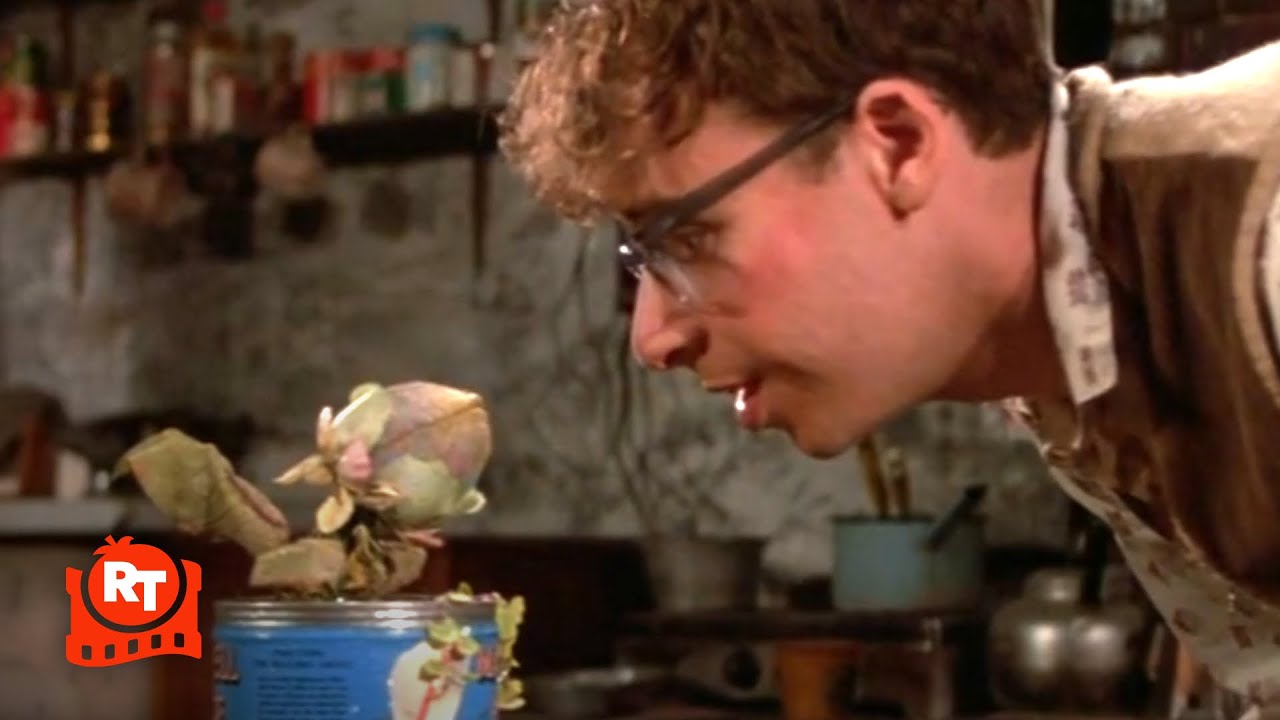 Little Shop of Horrors (1986) – Grow For Me Song (3/8) | Movieclips