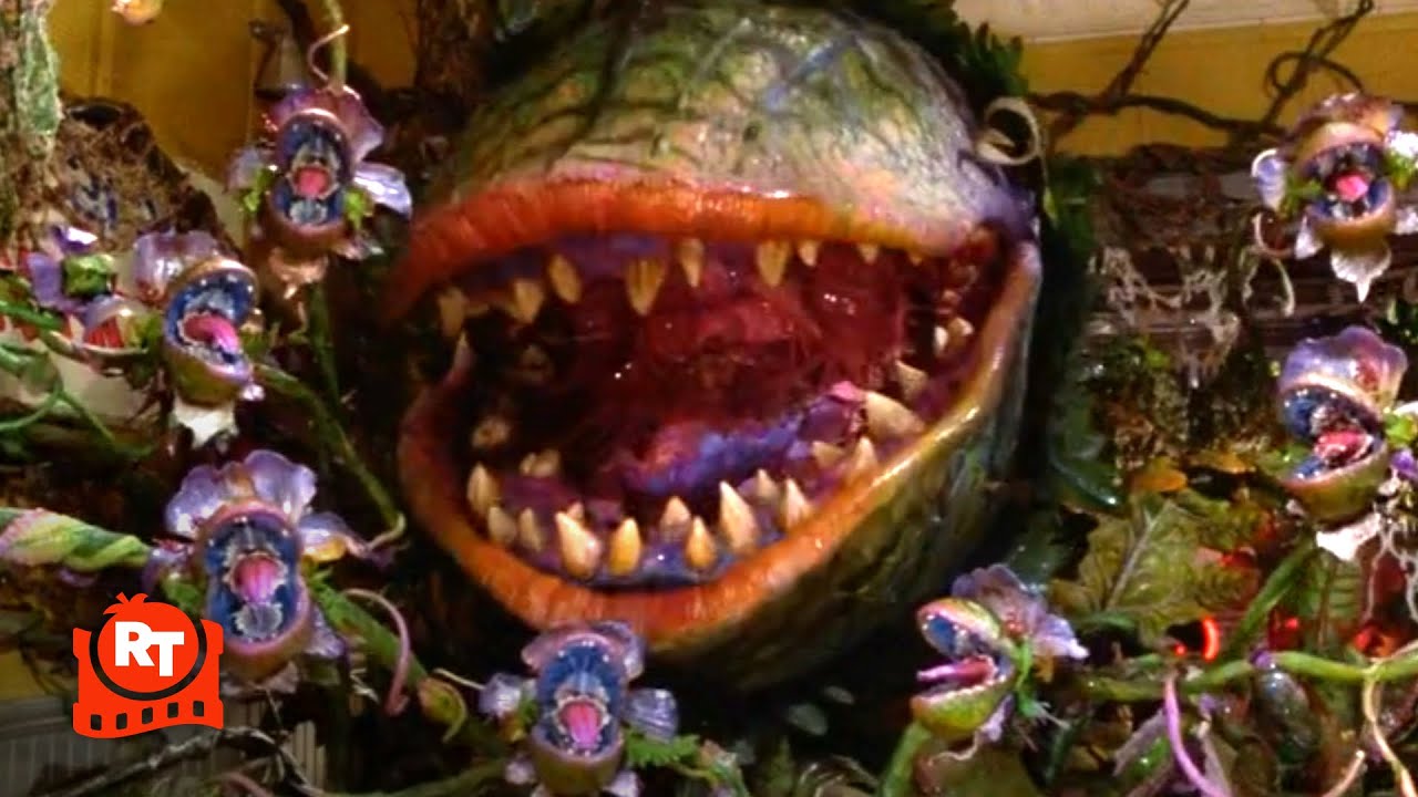 Little Shop of Horrors (1986) – Mean Green Mother From Outer Space (8/8) | Movieclips