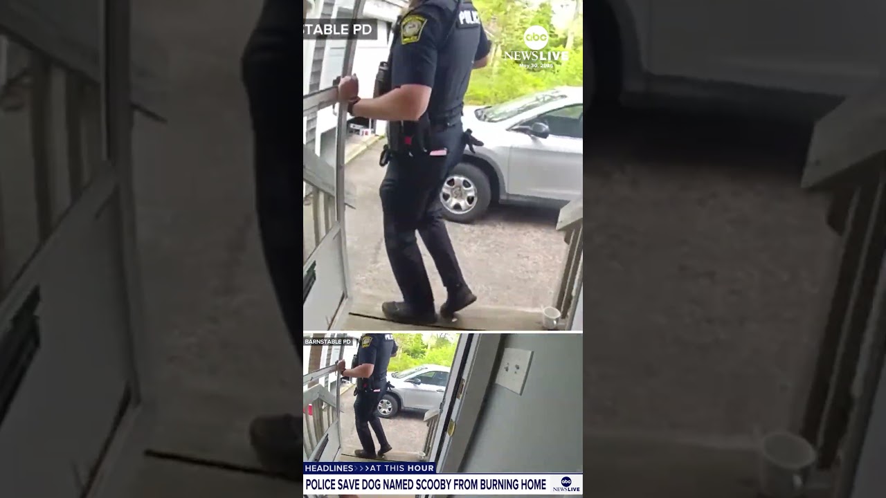 New video shows two police officers rushing into a burning Cape Cod home to save a dog named Scooby