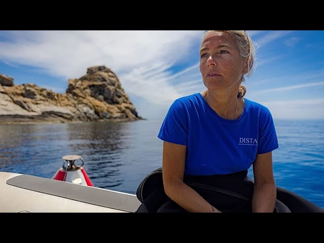 ‘No way out’: Italian divers who died in the Maldives may have become lost in cave, rescuers say