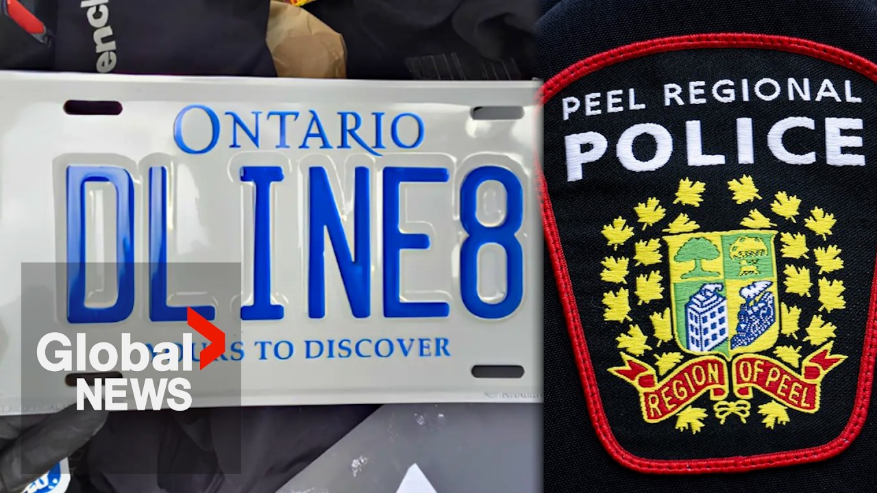 Police arrest 2 in fake licence plate investigation linked to Canada-wide crimes | FULL