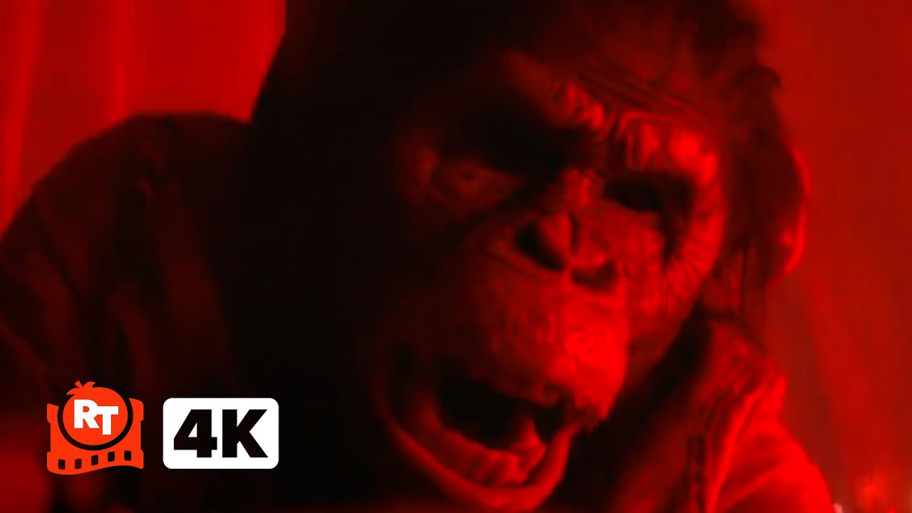 Primate (2025) 4K – The Monkey RIPS HIS JAW OFF!!! (7/10) | Movieclips
