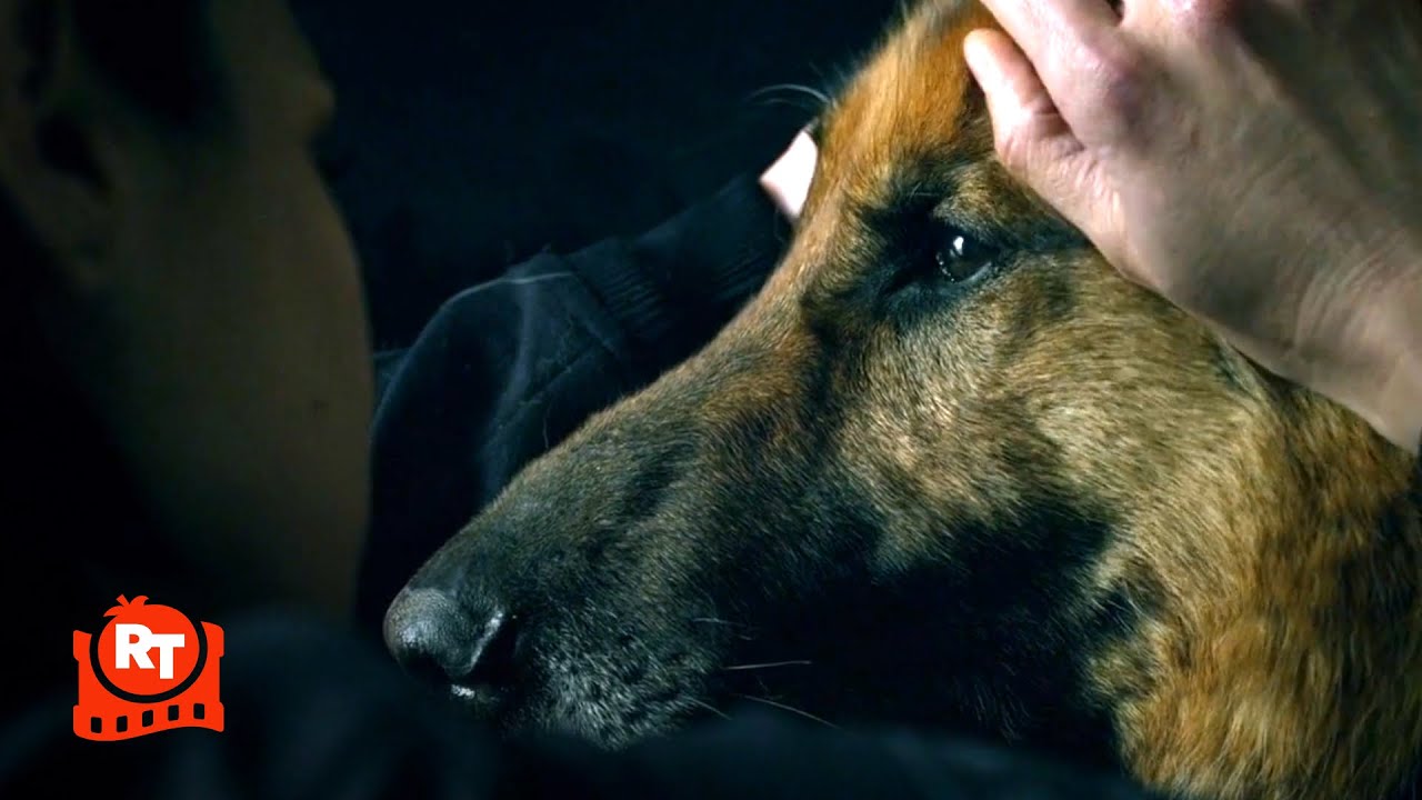 S.W.A.T. – Chris’ Dog Partner Is Dying (S2E18) (2/5) | Movieclips