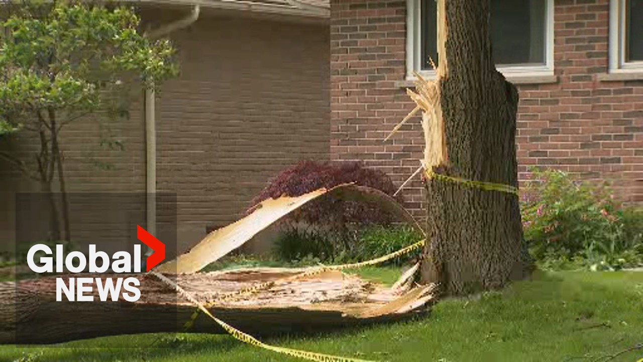 Severe storms leave widespread damage across London, Ont.