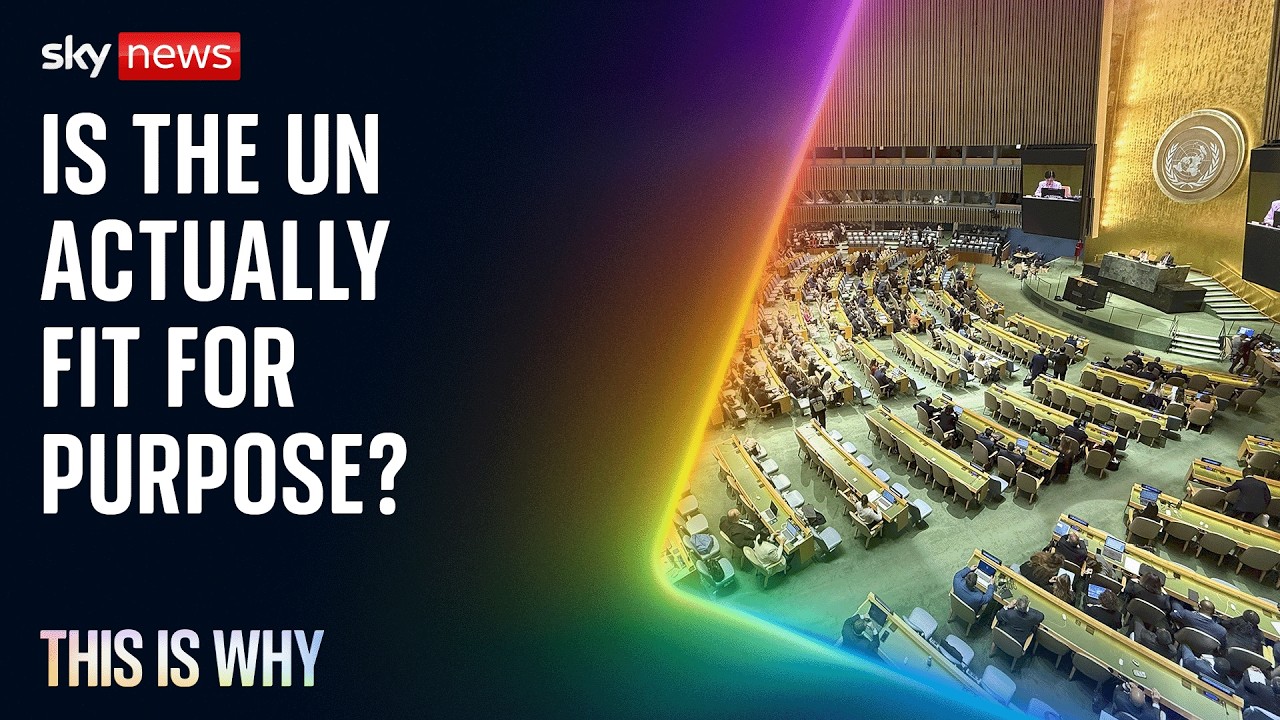 Some think the UN isn’t fit for purpose. This Is Why.
