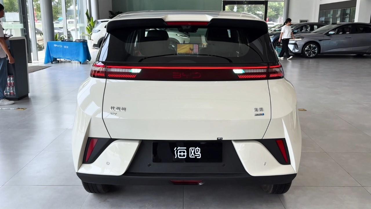 Tesla Biggest Nightmare? 2026 BYD Seagull for $10k
