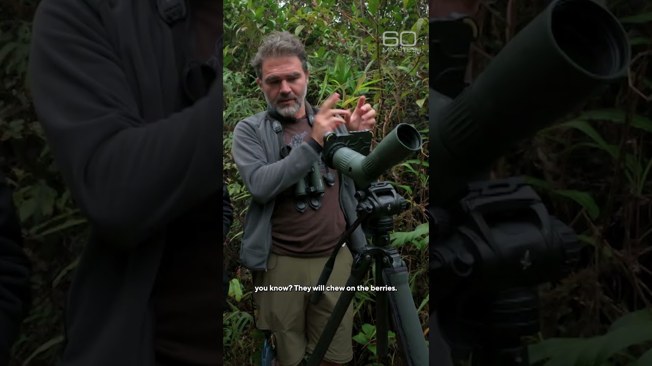 “That’s what birders come to see” #shorts