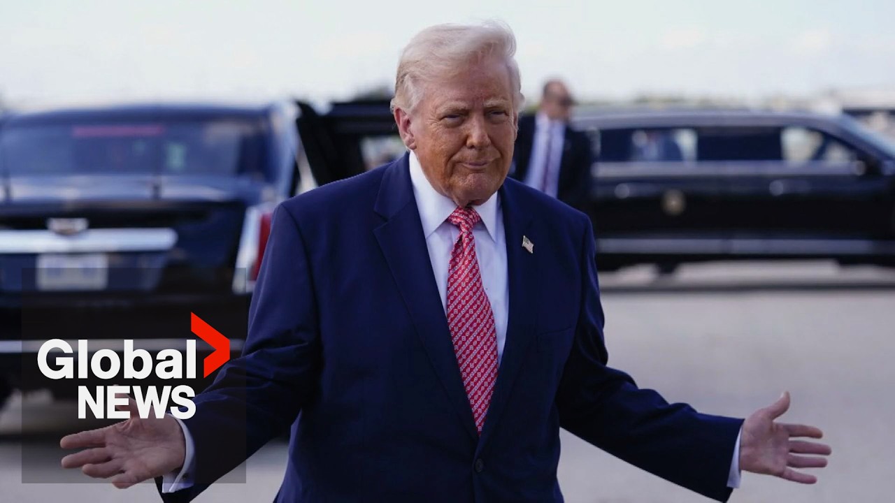 The art of the deal: Trump and family granted immunity from IRS tax audits