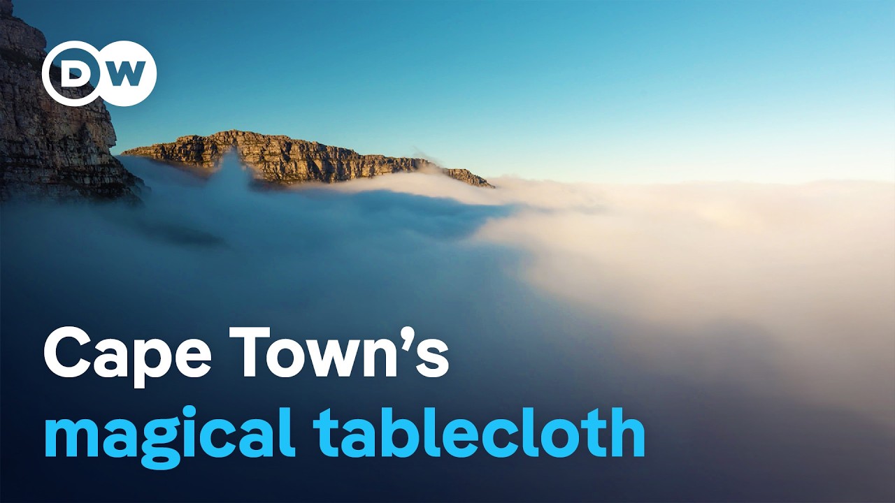 The cloud that gives life to Cape Town – The magic of Table Mountain’s tablecloth | DW Documentary