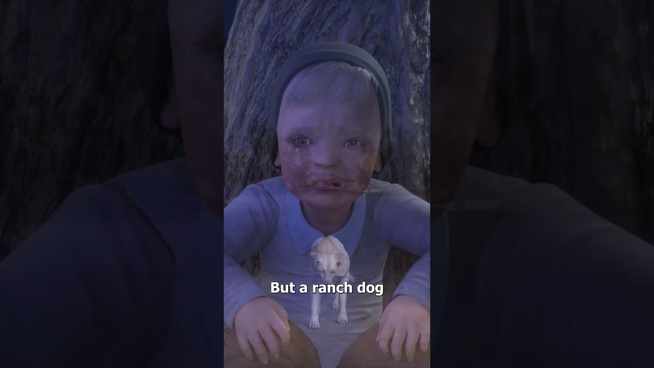 The Ranch Dog That Rescued A Missing Boy 😮