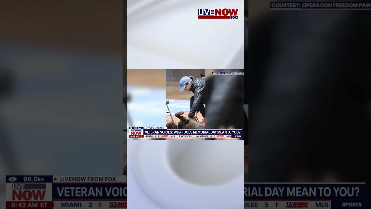 Veteran speaks on Operation Freedom Paws
