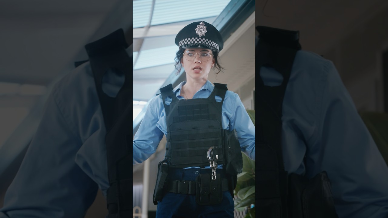 When a cop frames a picture