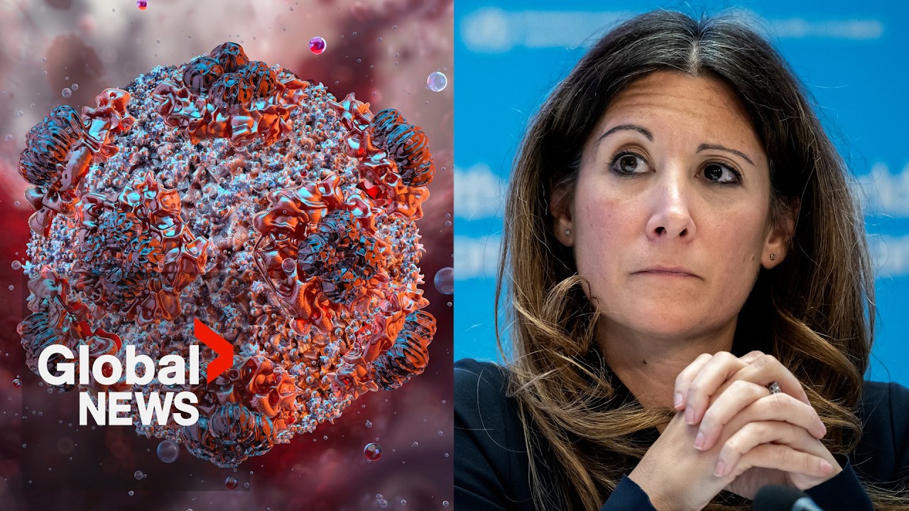 WHO addresses panic surrounding idea of hantavirus lockdown: “This is a very different virus”