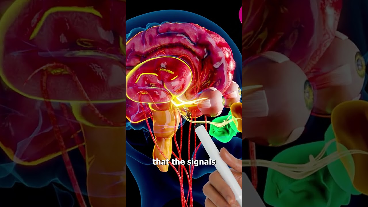 Why Bright Light Makes You Sneeze 🤧