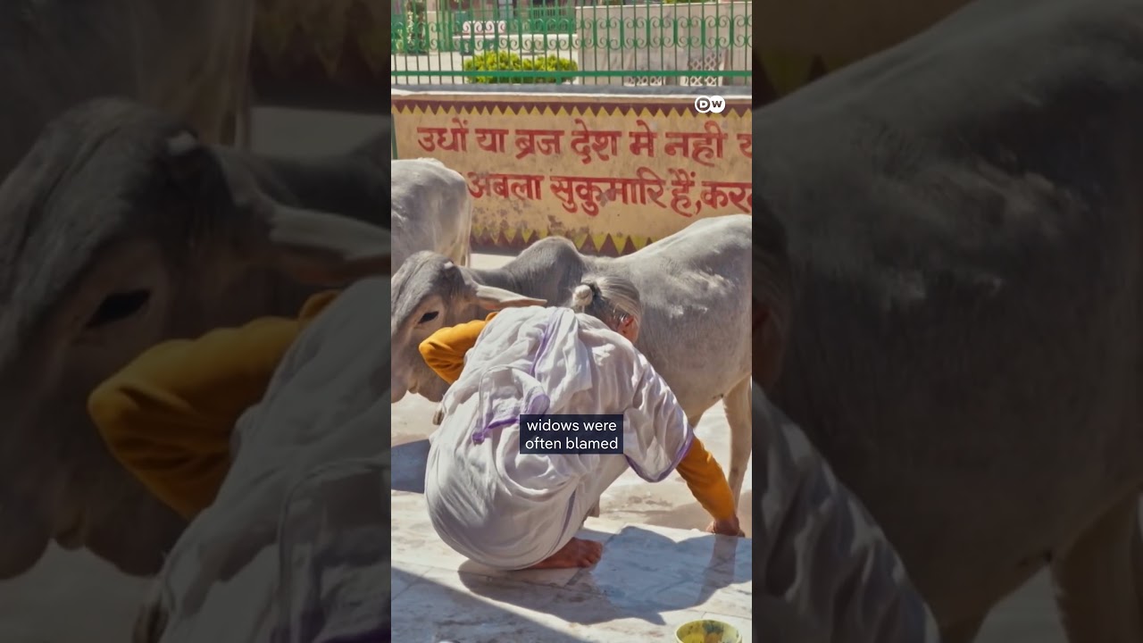Widows in India are fighting against prejudice | DW Documentary