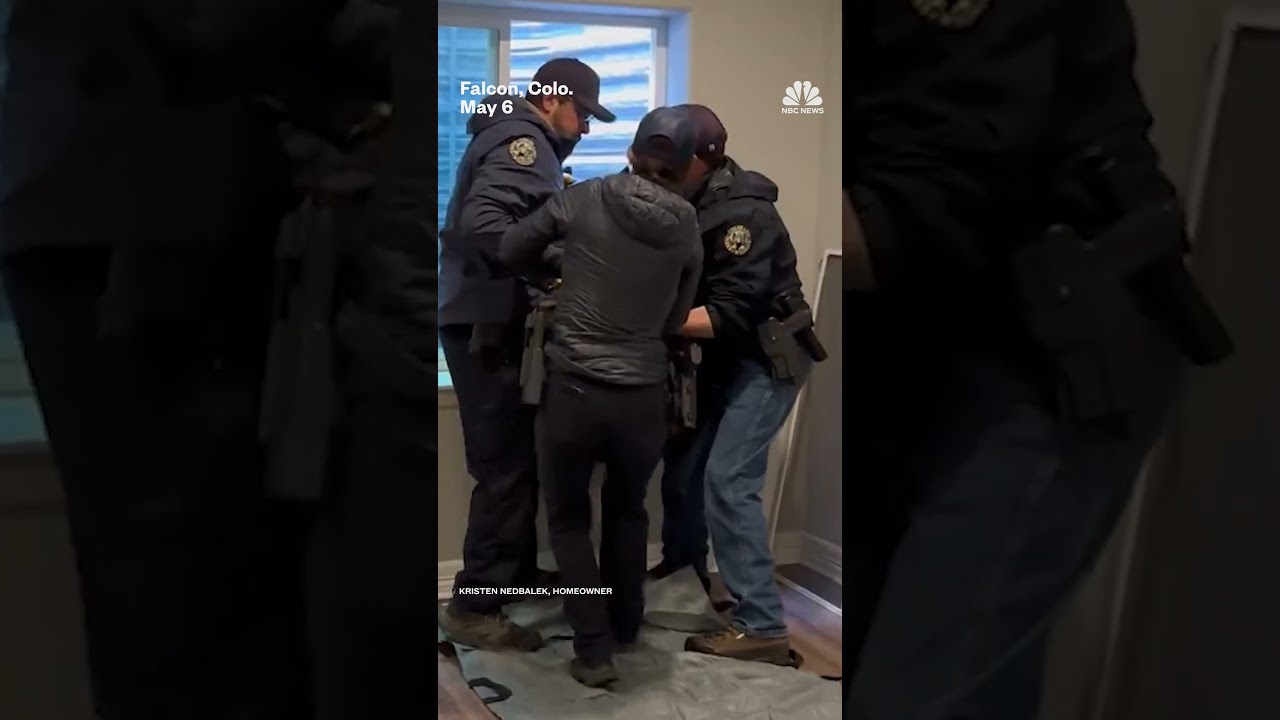 Wildlife officers rescue a black bear that got caught in a basement window well