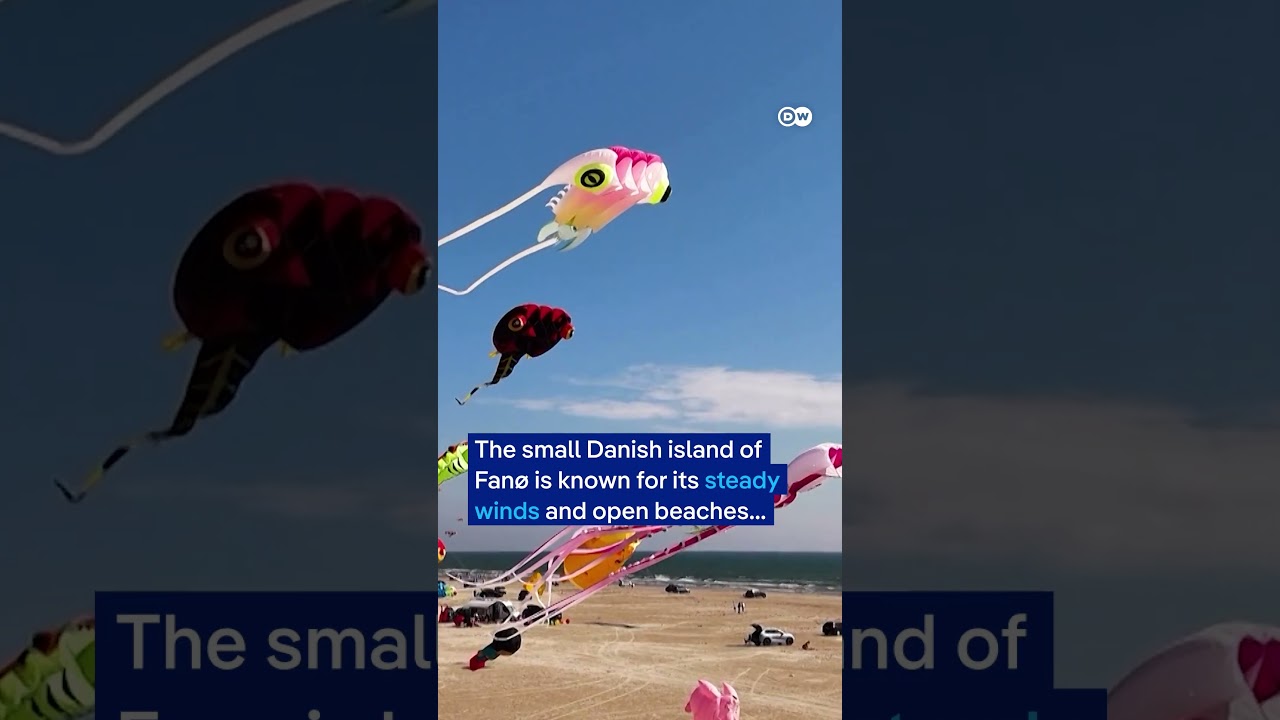 25,000 kites fly at world’s largest kite festival | DW News