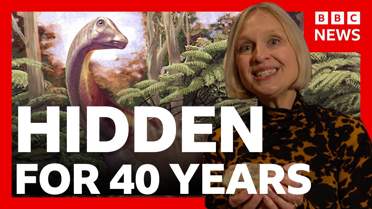Antarctica’s first dinosaur fossil found in a drawer | BBC News