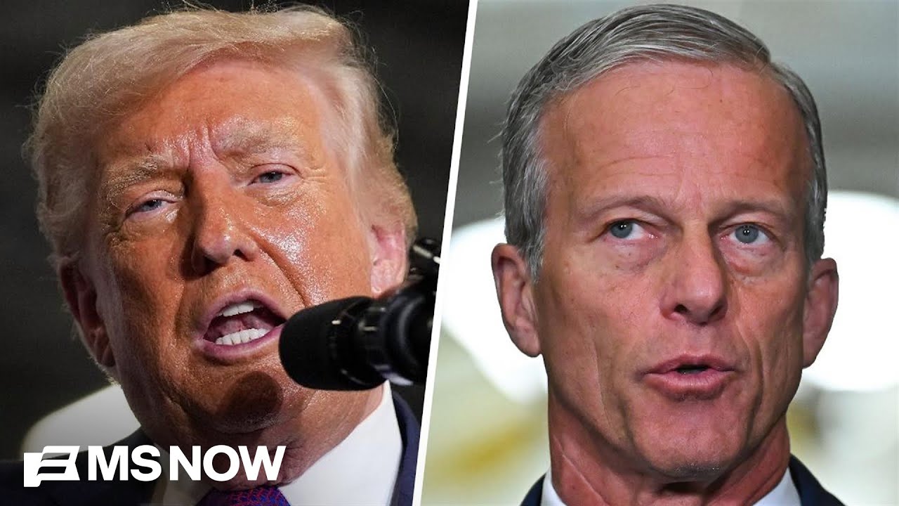‘Completely dividing Republicans’: Trump and Senate GOP clash over SAVE Act