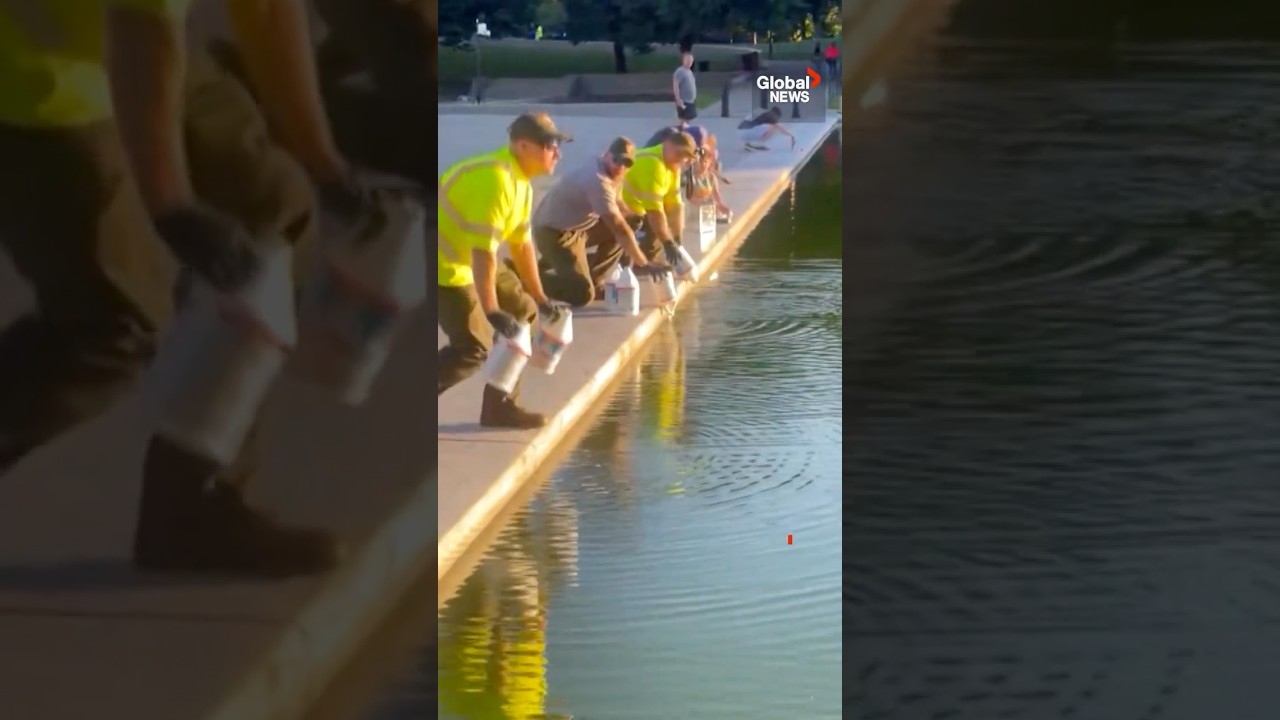 Crews seen pouring hydrogen peroxide into Lincoln Memorial reflecting pool to kill algae