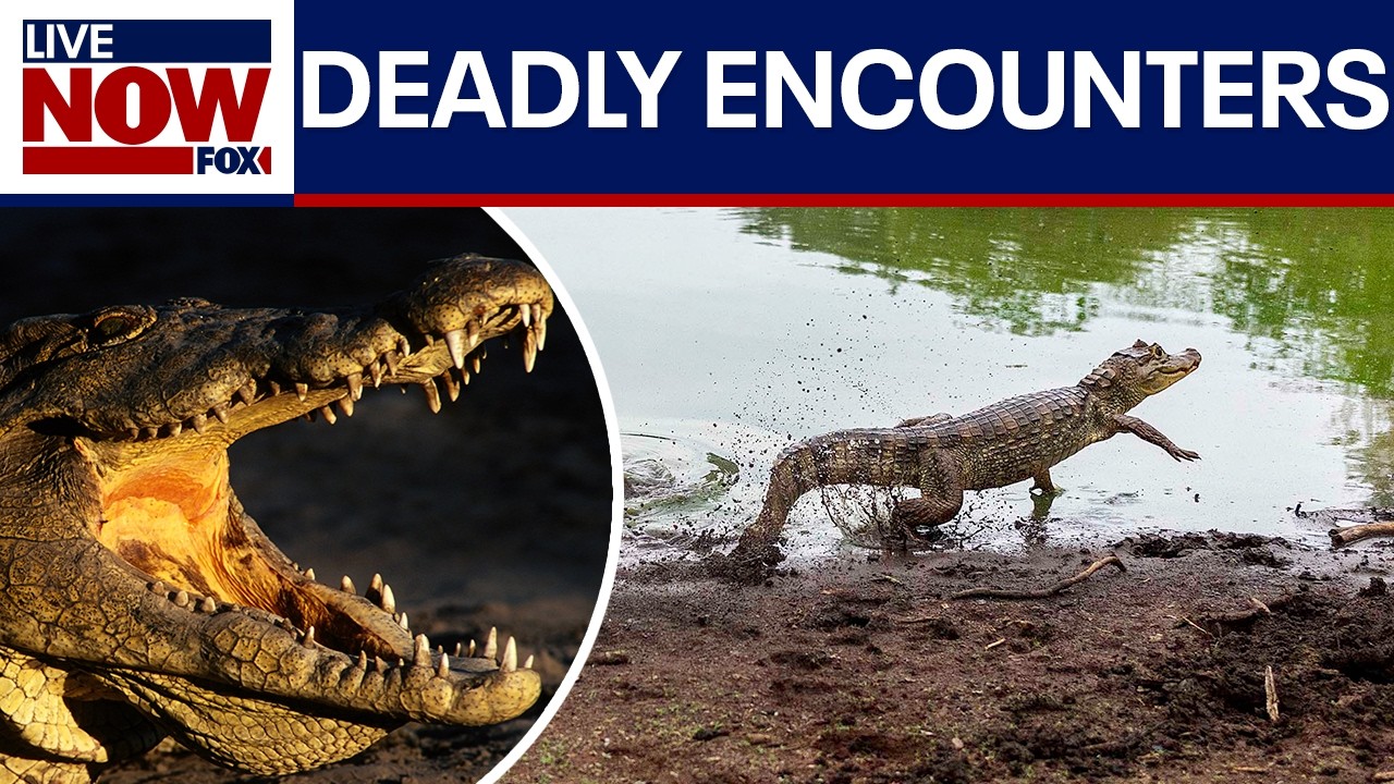 Deadly wildlife encounters spark safety warnings ahead of July 4th