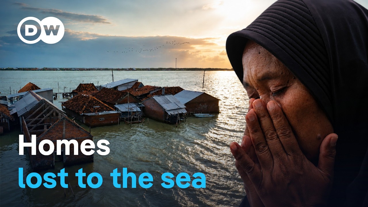 Displaced on Java – A village battling rising sea levels | DW Documentary