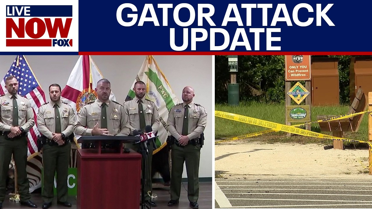 Florida wildlife officials provide update on deadly alligator attack