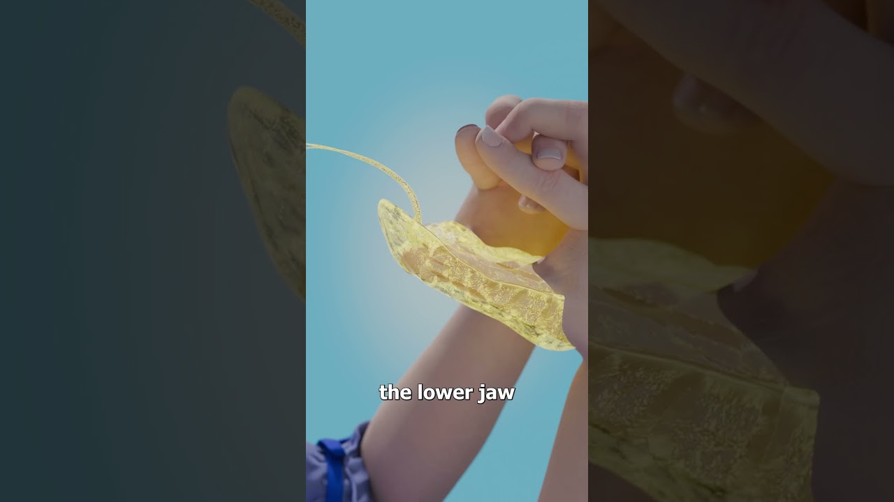 How To Make A Hand Viper 🤔